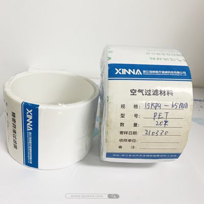 0.5μm PET Membrane Disc Filter / Hydrophobic Air Vent Filter For IV Tubing