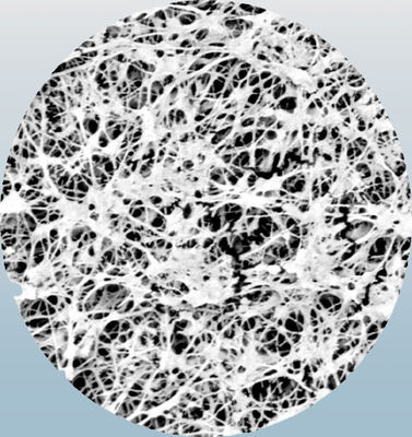 Medical 0.22 μm PTFE Membrane Filters With Optional Support Backing