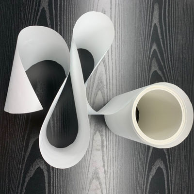 0.45μm Nylon Polyamide Membrane Filter White Non Sterile Without Grids
