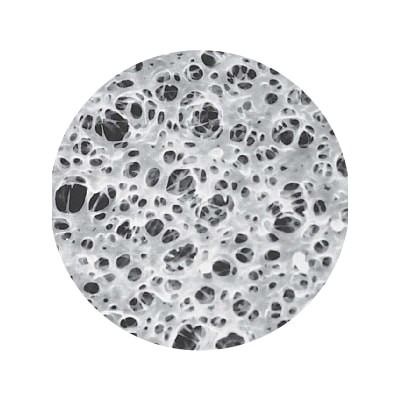 Hydrophilic Polypropylene（PP） Membrane Disc Filter 20μm Pore Size