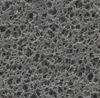 Polyvinylidene Fluoride PVDF Membrane Filter Hydrophobic High Purity Accuracy
