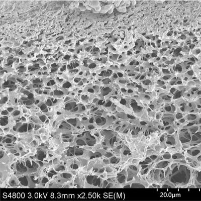 0.22μM Hydrophilic Polyethersulfone PES Membrane With PP Or PET As Supporting Layer