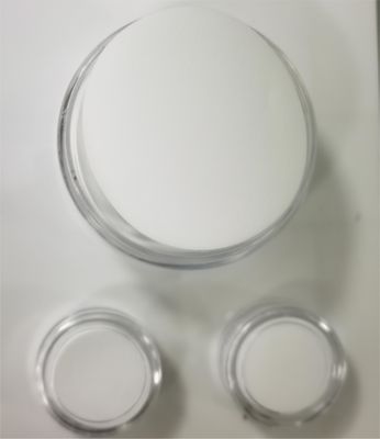 Hydrophobic PTFE Membrane Disc Filter For Bacterial Suction Filtration