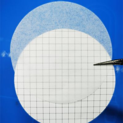 0.45um 37mm Mixed Cellulose Ester MCE Gridded Membrane Filter Sterile For Microbial Limit Test