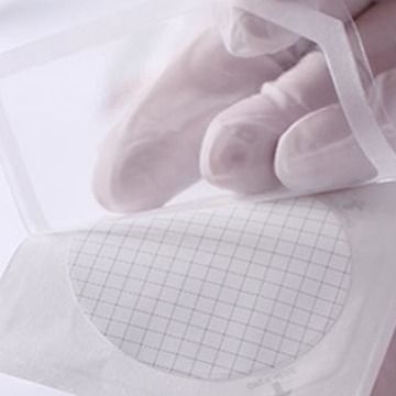 0.45um 37mm Mixed Cellulose Ester MCE Gridded Membrane Filter Sterile For Microbial Limit Test