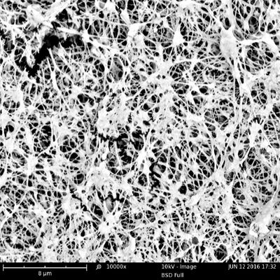 Hydrophobic EPTFE Microporous Membrane 0.22/0.45/1.2/3μm With PP Or PET Support Layer For Medical Use