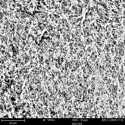 Hydrophobic EPTFE Microporous Membrane 0.22/0.45/1.2/3μm With PP Or PET Support Layer For Medical Use