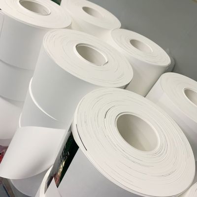 quality  0.1µM - 5µM Pore Size Nylon (Polyamide) Membrane Filter Circles factory