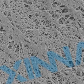 Medical 0.45μm PTFE Membrane Hydrophobic For Infusion Filter Air Venting