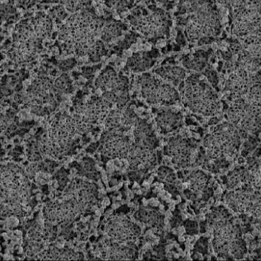 3μm Pore Size Hydrophilic PES Polyethersulfone Filter Membrane Filtration