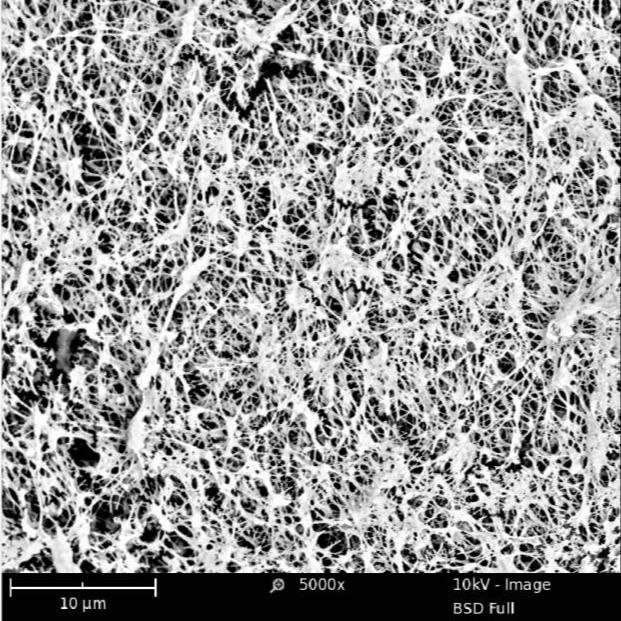 Microporous Hydrophobic PTFE Membrane 0.05 - 0.45 Pore Size With Supporting Layer