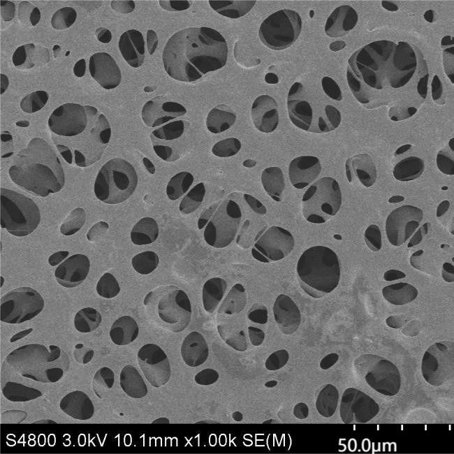 5μM Hydrophilic PES Membrane For Drip Chamber Filtration Stop Liquid Automatically