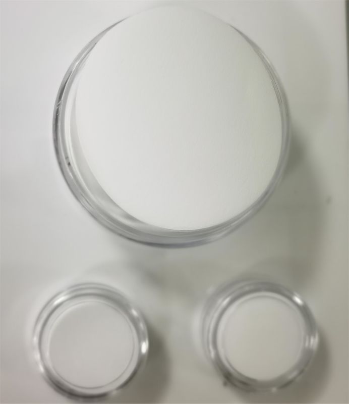 Hydrophobic PTFE Membrane Disc Filter For Bacterial Suction Filtration
