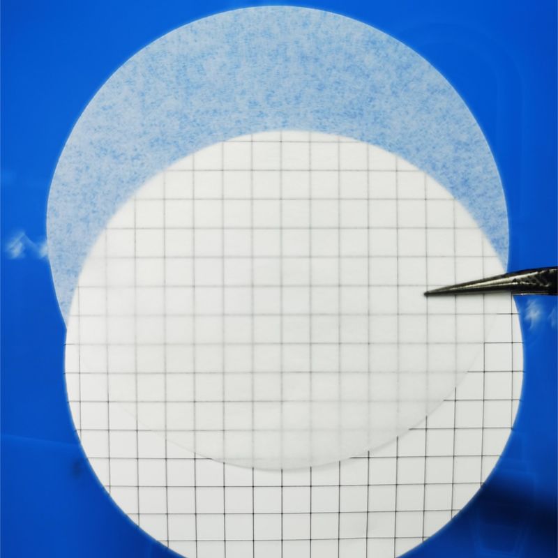 0.45um 37mm Mixed Cellulose Ester MCE Gridded Membrane Filter Sterile For Microbial Limit Test
